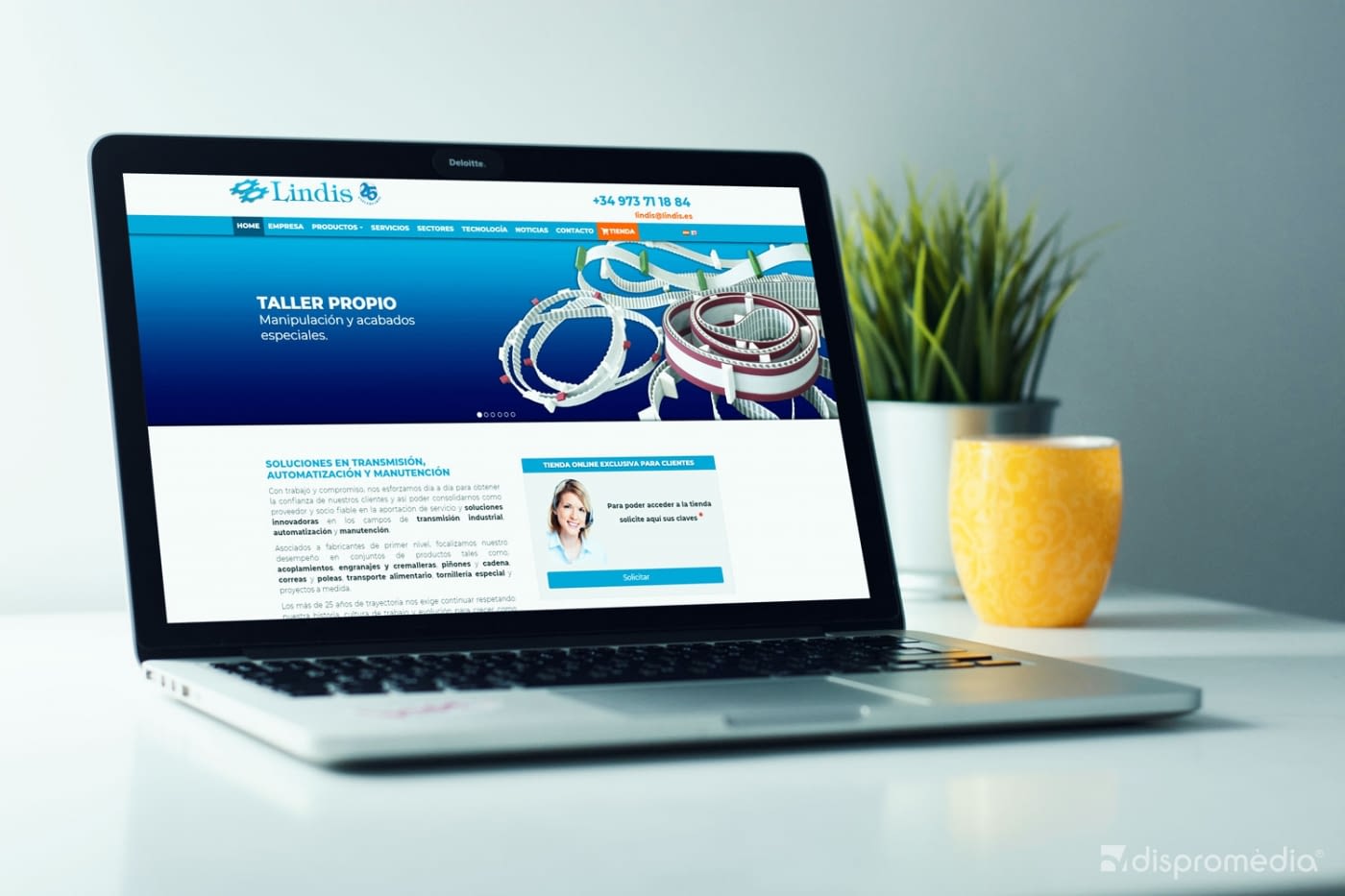 Presentación del nuevo web de Lindis