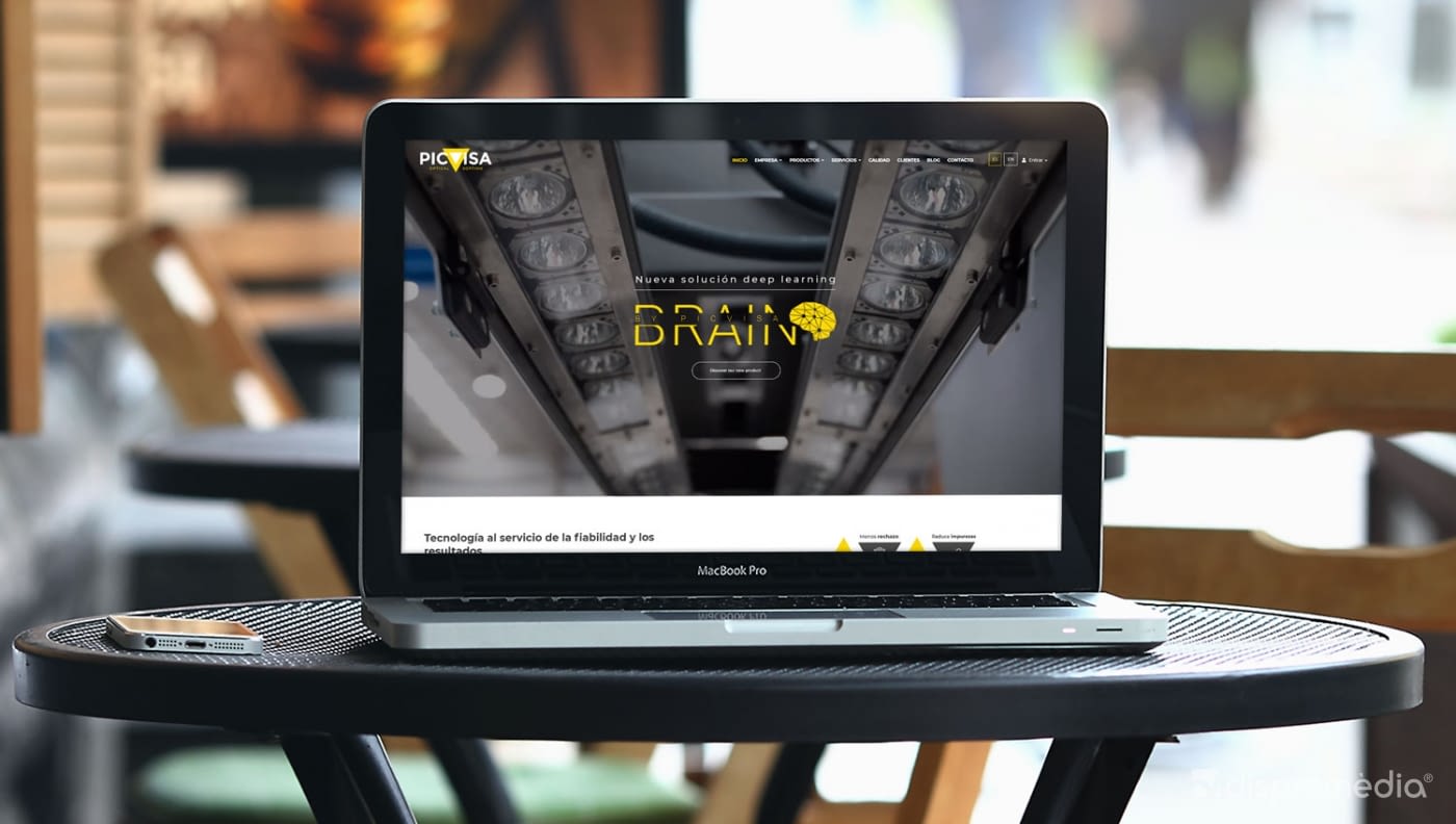 Nuevo web de Picvisa